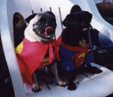 Dynamic Duo