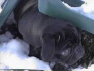 Snow Cave